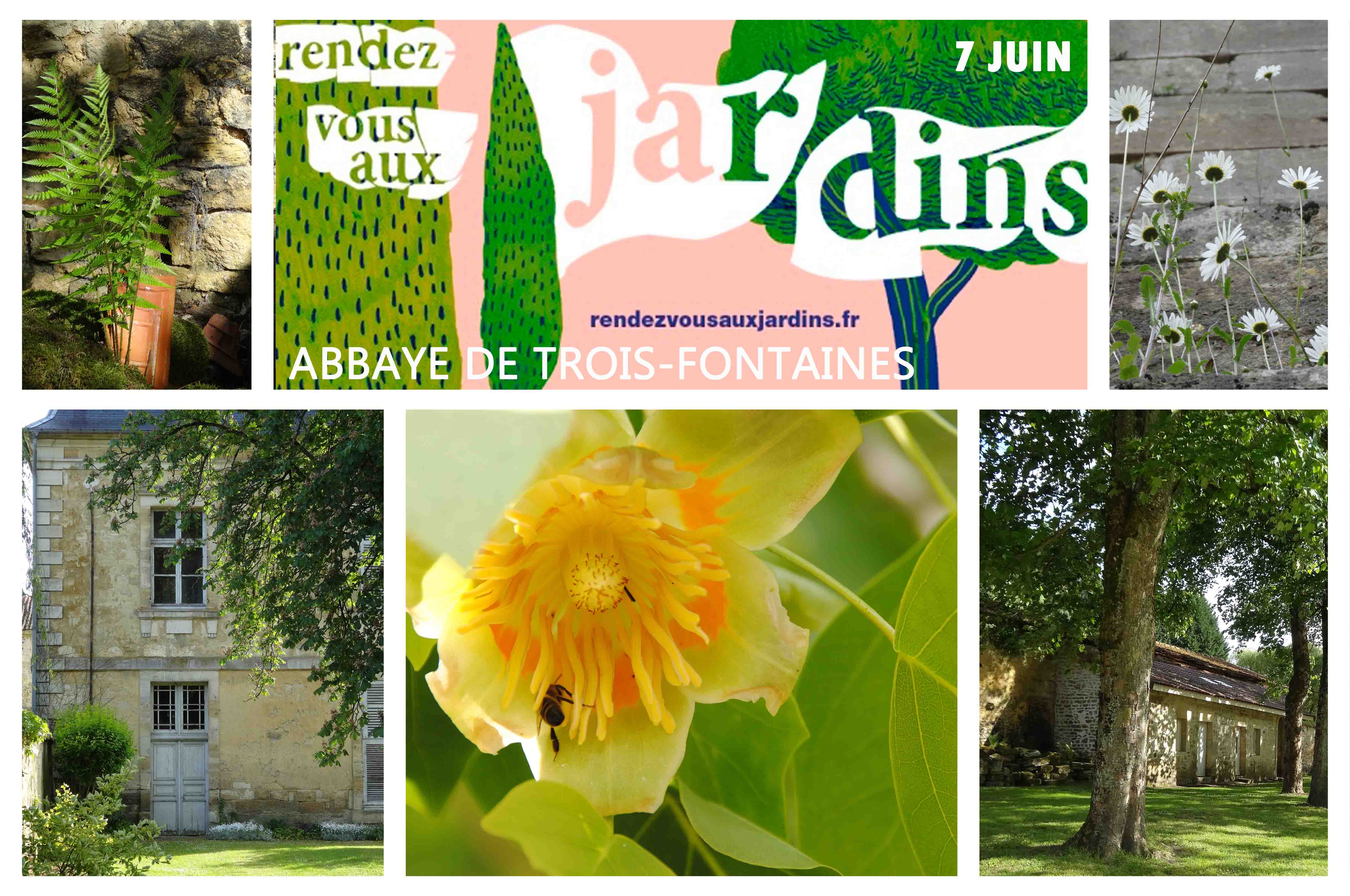 RENDEZ-VOUS AUX JARDINS / 7 JUIN 2015